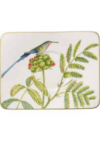 Villeroy & Boch Villeroy & Boch Kaffeeuntertasse Amazonia, Tasse, Mehrfarbig
