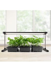 Enne Interior, Pflanzenlampe, Plate Grow LED Grow Light (LED)