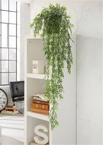 Bambou d&eacute;coratif - vert - taille 30 cm - bonprix