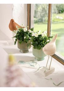 Figurine d&eacute;co oiseaux (2 pces) - beige - taille 21,5x14 cm - bonprix