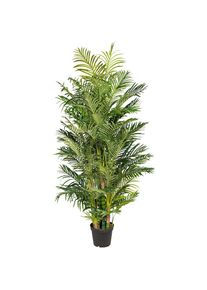 Creativ green Kunstpalme &raquo;Arecapalme&laquo;