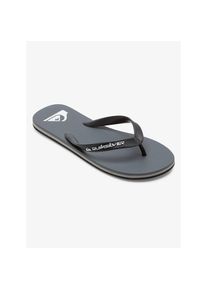 Quiksilver, Herren, Zehentrenner &raquo;MOLOKAI CORE&laquo; Sommerschuhe, grau, 45, grau, Coole Zehentrenner von Quiksilver