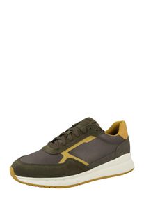 Geox Baskets basses 'BRANTHON' Homme gris taille 39