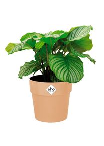 Elho Bloempot 13L 13,7x12,5cm Nude