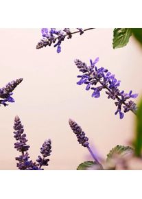 Rituals, Gesichtscreme, The Ritual Of Namaste Glow (50 ml, Tagescreme)