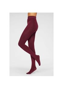 Lavana, Damen, Thermostrumpfhose Packung, 2 Stk. tlg. mit angerauter Innenseite, weinrot, S (36/38), weinrot, Thermo-Strumpfhose perfekt f&uuml;r kalte 