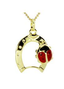 OSTSEE-SCHMUCK, Damen, Kette und Anh&auml;nger Set &raquo;- Hufeisen mit Marienk&auml;fer - Gold 333/000 -, &laquo; (), Gold 333-goldfarben-gelb, Gold 333-goldfarben-gelb, 