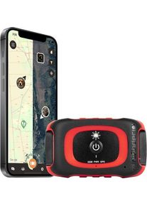 MiniFinder Rex Jagdhund-GPS-Tracker | schwarz/rot