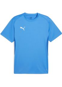 Puma, Herren, Sportshirt, teamGOAL Jersey (S), Blau, S