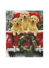 Ideyka Diamantmosaik - Hundereiten 40x50cm