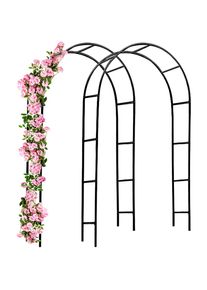 Gardebruk Arcos decorativos set de 2 metal 240x140cm rosales