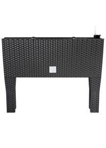 Deuba Hoge Plantenbak Antraciet Kunststof 60x25x46cm