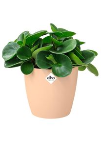 Elho Bloempot 14L 13,5x12,6cm Nude