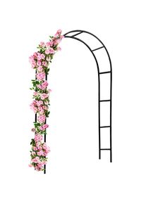 Gardebruk Arco para rosas negro 240x140x37cm