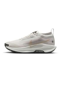 Nike Pegasus Trail 5 GTX Femme