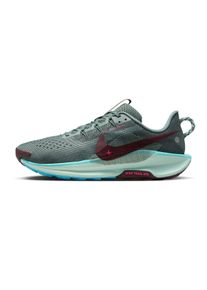 Nike Pegasus Trail 5 Homme