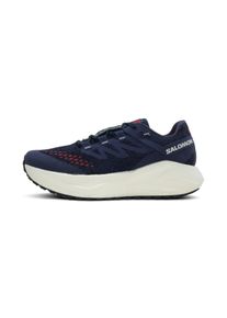 Salomon Aero Glide 3 GRVL Homme