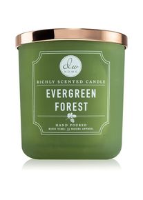 DW Home Signature Evergreen Forest scented candle 269 g