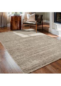 Sanat, Teppich &raquo;Oslo&laquo; rechteckig 10 mm H&ouml;he meliert robuster Kurzflor, Wohnzimmer, Schlafzimmer, auch als L&auml;ufer, beige, Kunstfaser, B : 120 cm 1 Stk.