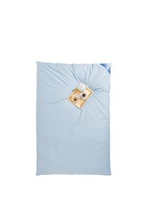 Ribeco, Federbettdecke &raquo;Leon, Ballonbettdecke Leon, 135x200 & 155x220 cm&laquo; extrawarm F&uuml;llung 50% Daunen, 50%Federn 1 Stk. tlg. unser Ballonbett, wie in