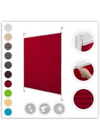 LICHTBLICK ORIGINAL, Plissee &raquo;Klemmfix&laquo; Lichtschutz ohne Bohren verspannt Faltenstore, brombeere + wei&szlig;, Obermaterial: 100% Polyester, 210 cm, 