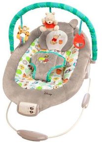 Bright Starts Disney hojdacie kreslo | viacfarebn&yacute;