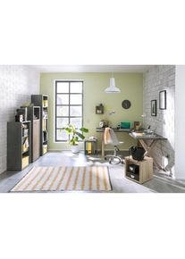 M&auml;usbacher M&auml;usbacher, Aktenregal &raquo;Mio&laquo;, graphit, graphit