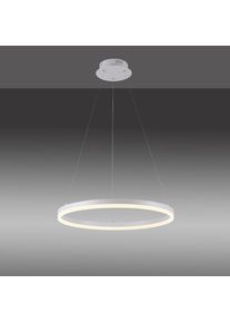 Paul Neuhaus, Pendelleuchte &raquo;TITUS&laquo; LED-Board 1 Stk. Warmwei&szlig; LED, dimmbar, Simply Dim, Memory, nach Trennung vom Netz, wei&szlig;, 1, wei&szlig;