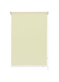 Gardinia, Seitenzugrollo &raquo;Uni-Rollo&laquo; Lichtschutz Sichtschutz mit Bohren freih&auml;ngend 1 St&uuml;ck, im Fixma&szlig;, champagner, Polyester, 180 cm