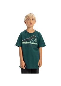 DC Shoes, Unisex, T-Shirt &raquo;Slathletic&laquo;, Ponderosa Pine, 14(155-164cm), Stoff: Walkfrottier, Baumwoll-Jersey...