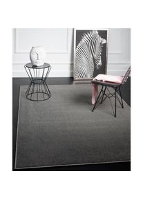 MERINOS, Teppich &raquo;Montana&laquo; rechteckig 20 mm H&ouml;he Kurzflor, Uni-Farben, besonders weich, anthrazit, Kunstfaser, B : 120 cm 1 Stk. - 20 mm