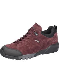Waldl&auml;ufer Waldl&auml;ufer, Damen, Trekkingschuh &raquo;H-AMIATA&laquo; , Freizeitschuh, Halbschuh, Outdoorschuh mit TEX-Ausstattung, H-Weite, bordeaux-schwarz, 8 (42), bordeaux-