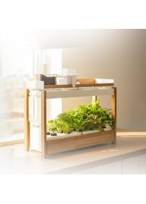 Click & grow 25 - Indoor Kr&auml;utergarten (Farbe: wei&szlig;)