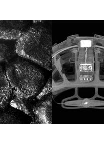 POC, Velohelm, (54 - 59 cm)