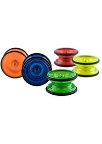 Henrys Yo-Yo Lizard, orange