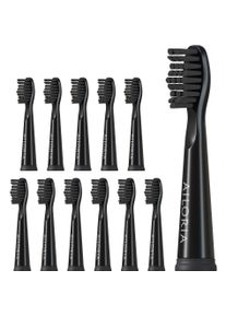 AILORIA, Zahnb&uuml;rstenkopf, Flash Travel (12 x)