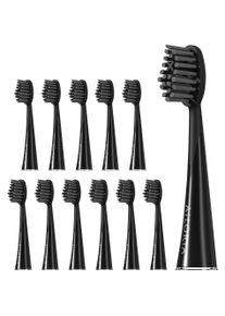 AILORIA, Zahnb&uuml;rstenkopf, Shine Bright (12 x)