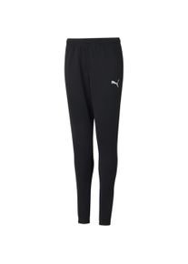 Puma, Jungen, Sporthose, teamRISE Poly Training Pants JR (140), Schwarz