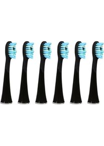 AILORIA, Zahnb&uuml;rstenkopf, Shine Bright (6 x)