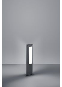 Trio RHINE Sokkellamp LED Antraciet, 2-lichts