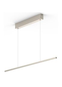 Evotec, LED Pendelleuchte &raquo;eXiro&laquo; LED-Board 1 Stk. Warmwei&szlig; Made in Germany, H&ouml;henverstellbar, edelstahlfarben, edelstahlfarben