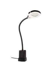 HEDI, Arbeitsleuchte, Arbeits-/Maschinenleuchte (550 lm)