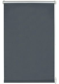 Seitenzugrollo GARDINIA "EASYFIX Rollo Thermo ENERGIESPAREND", grau (schieferfarben), B:65cm H:150cm, Polyester, Rollos, Seitenzugrollo, abdunkelnd mit Thermobeschichtung