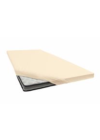 Spannbettlaken Janine "TOPPER 5001", beige (leinen), 1 Stk., Jersey-Elasthan, 180x200 180x210 180x220 190x200 190x210 190x220 200x200 200x210 200x220 10cm, Jersey-Elasthan, Obermaterial: 95% Baumwolle, 5% Elasthan, Bettlaken, Spannbettlaken, mit Rundumgummizug