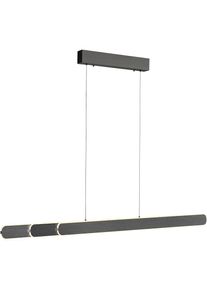 Paul Neuhaus Pendelleuchte &raquo;ADRIANAROU&laquo; LED-Board 1 Stk. warmwei&szlig; - kaltwei&szlig; CCT - &uuml;ber Touch, dimmbar &uuml;ber Touchdimmer, Comfort Lift