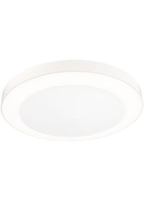 Paulmann Deckenleuchte &raquo;Circula&laquo; 1 Stk. Warmwei&szlig; Deckenlampe, nickel-matt, 22,5 cm, warmwei&szlig;, Deckenleuchte, Lampe