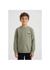 name it Sweatshirt &raquo;NMMVALLEN LS NREG SWEAT BRU&laquo;