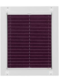 Plissee SUNLINES "Start-up Style Crush", lila (brombeere), B:73cm H:145cm, Obermaterial: 100% Polyester, Plissees, Plissee, geklebt mit Gelenkklebeplatte
