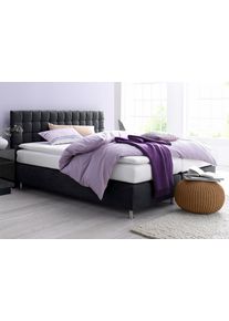 Boxspringbett, schwarz, B:155cm L:210cm, Microvelours (100% Polyester);Strukturstoff (77% Polyester und 23% Viskose);Bonnell-Federkern-Matratzenbezug: 100% Polyester;Kaltschaum-Matratzenbezug: Frottee 100% Polyester, Westfalia Schlafkomfort, Komplettbetten, Boxspringbett