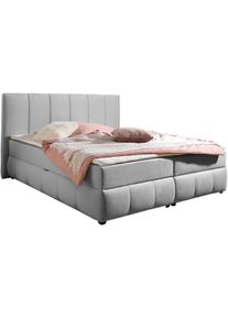 Boxbett OTTO HOME "Hartley inkl. Bettkasten und Topper, auch in &Uuml;berl&auml;nge erh&auml;ltlich", grau, B:212cm L:210cm, Komplettbetten, Boxbett, wahlweise mit Bonnell- oder TTFK-Matratze in H2, H3 o. H4 erh&auml;ltlich